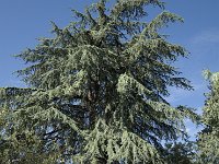DSCF1623