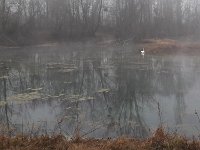 20170220 093524